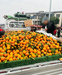 ���ֱ��ĳ���ϳ��أ���ɽ�˺�������ԭʼζ��