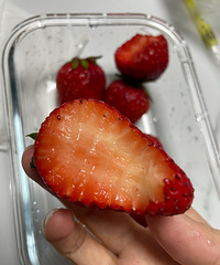 ����Թ���óԵĲ�ݮ��������Щ�ٿ�һ���