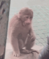 ������ֵ����ubras˯����װ98�����űȲ�������2��79