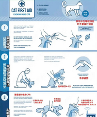 è����Ϣ�ļ��ȷ�����ϣ�������Զ���ò���