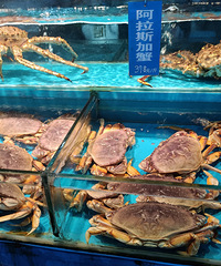 ��ʱ�ϼ������г����Լ۱Ȳ��ߣ�з���ζ���ȴ���з��