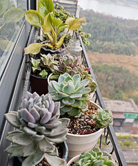 ����Ķ��⣬Խ�չ�ԽҪ��ƨ��Խ���ܳ���Խ��