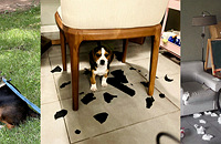 �ҵĹ������óԺúȹ��ţ��������Ҹ��㿴