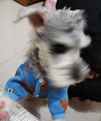 �ͳ�ħ��ˬ�ջ������գ������칷���ܳ�����