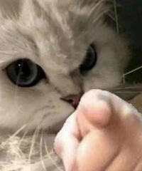������Щ©�Ƶ�ϰ�ߣ�һ����ף���������ϲ���ı���