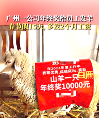һ��˾��17ͷ���Ա�������ս������ڼ�15�컹�෢���¹���