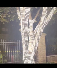 过年物业装了led灯带,邻居却说