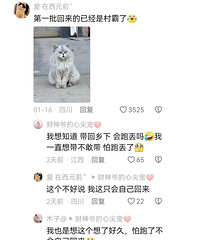 ���Сè�ش�����𣿵�һ����ȥ���Ѿ��Ǵ����