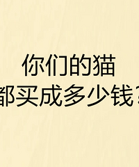 è��û��ǰ���ˣ����ǵ�è��ɶ���Ǯ��ʲôƷ��