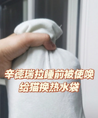 �ϰ�����è���ӣ����ҹ���Ҹ�è����ˮ������ˮ