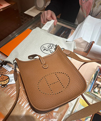 �����˽����Լ�һ��С�����������˰�����evelyne