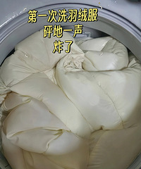 羽绒服千万别机洗!在客厅听到蹦...一声!我的一千大鹅飞了