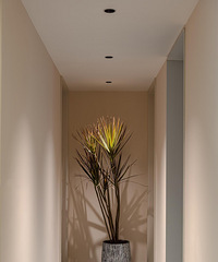 ��û����ֲ����־Ⱦ���������Ѫ������һֱ��Ҷ��