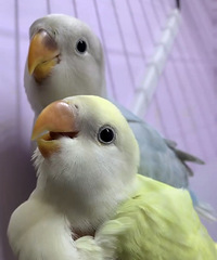 ����Ŀ�꣺������ֻ���֣�������ʼ����Ӹ�