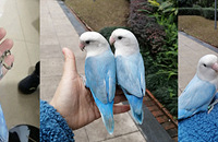 ��С��������ĵ�����ĺ����ˣ���ɫϵС����Ư��