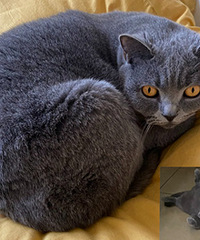 �������죬è��ֱ�ӳ�������