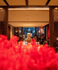 [����]�����š����õ���ŨŨ��ζ�����������Ƶ�Ĳ���