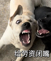 你们装修房子时都会吵架吗?是因为什么呢?