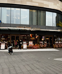 �������������ѹ�Ӣ���⻷�꣩������Բ���Բ�����