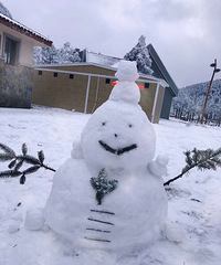 周末丰都南天湖2日赏雪,高铁站有黑车司机包接送