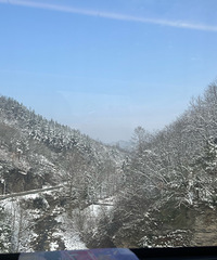 ������С����ȥ������������ҹ�����۵��ջ���