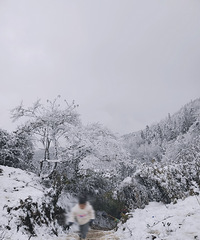 重庆看雪~自驾两个小时,看到免费雪景