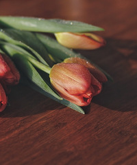 ����Ŀ�������������ģ�29.9����ӵ�д�������