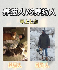 ���������˺���è�˵�����7�㣬Խ��Խ����