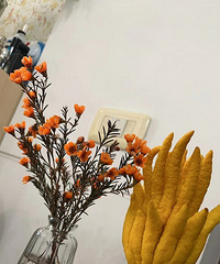 ����9.9��Ļ�ƿ�����ϰ�÷�ͷ��ָ̳��ÿ�