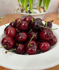 ����������yyds����һ������������롭��