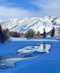 5�������ɿ��к���ѩ