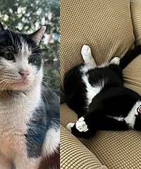 ͬΪ��ţè�����������˵���̬���ر�