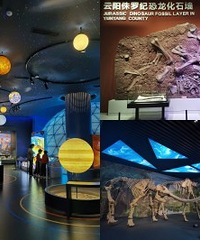 ���������ѵ�չ���ݣ����Ĳ���