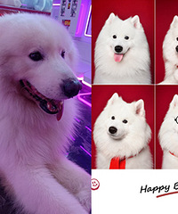 ��Ц�Ĺ���7���ˣ�����ҲҪ����Ŷ