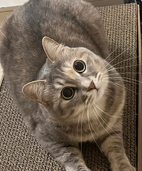 ���Ƕ���èˢ�������Ǽҵ������˶�ûˢ��