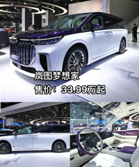 ���ѡ��һ̨MPV��Ϊ�Լ���ͥ�����г���