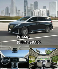 ���ѡ��һ̨MPV��Ϊ�Լ���ͥ�����г���
