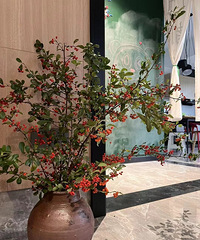 疫情第一年回村建房,目前已回村躺平