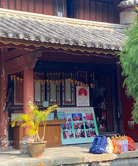 冬天,我又来了,吃吃喝喝,带你看冬天的芒市
