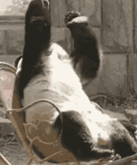 ������ֵ���򡿷������޸�����5Ƭ24��������������3ƿ159