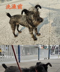 С�����Ҽ�����1���ѩ�������õ��а�����������