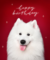 ��Ц�Ĺ���7��������̬�õú�����סԺ��Ц����