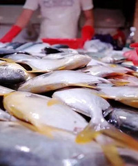 [����]ͬ���ǲ��г��������Ϸ����г����ٿ������ġ���