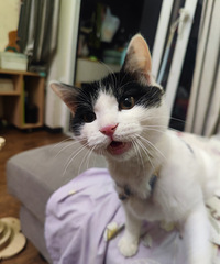 ��èι����զ����4������������׼��