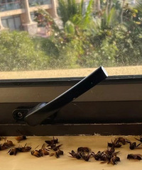 5500元一晚的豪华酒店马蜂扎堆