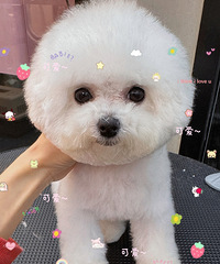 С���͹���Ҫ��Ҫ��һ̥�پ����أ���˵��������