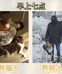 �����˺���è�˵�����7�㣬������