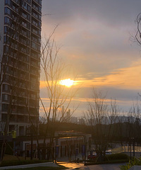 93172CMС飬豸ú͵Լ湤