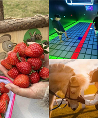 �ż�ˣ�²�����Ӿ糡����ݮ��ժ