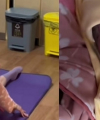 ��Ӳ�������裡���ڿ���ָ�����������������˳��